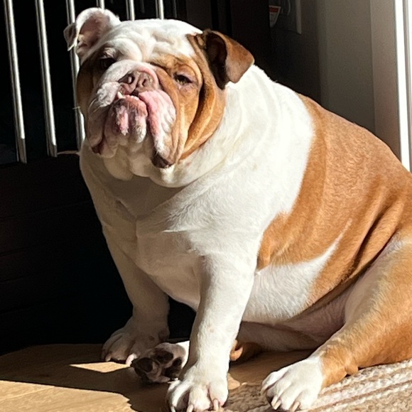 Our Baby Girl Miss Bella B - Picture 8 of 16